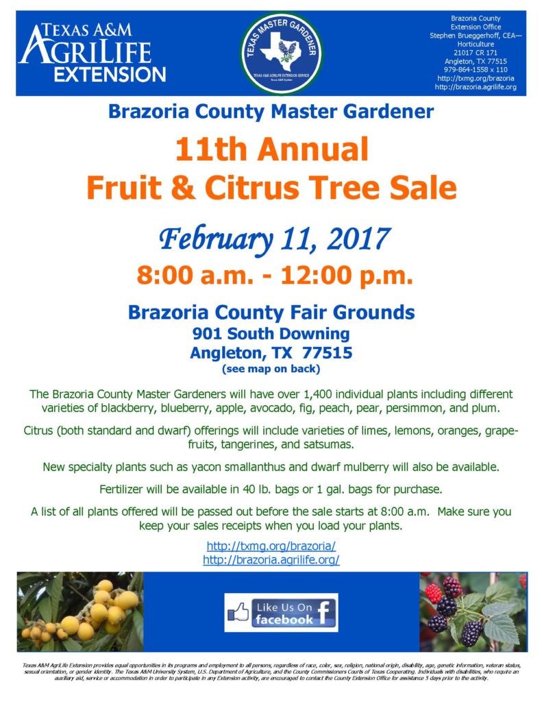2017-fruit-citrus-tree-sale-flyer_page_1