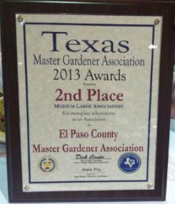 2013 TMGA Award_2nd Place Assn