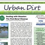 September and October 2024 Urban Dirt Newsletter