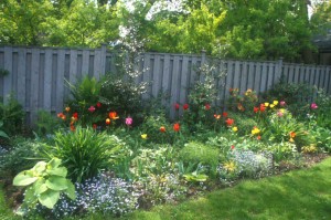 Spring Perennial Border