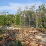 Entrance to Coastal Oaka Garden with storm debris