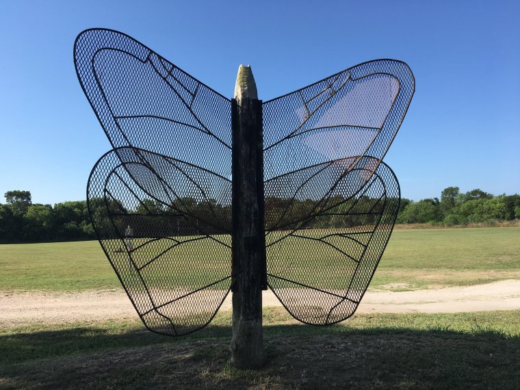 2018 -MG's work at Cedar Creek Butterfly Garden