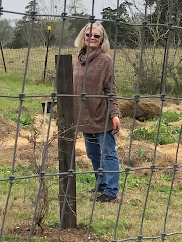 Restoration Ranch work day March 2, 2019