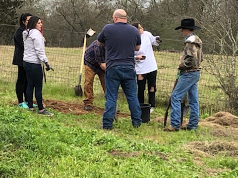 Restoration Ranch work day March 2, 2019