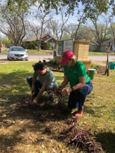 Dorothy working with a citizen on the oak tree bed