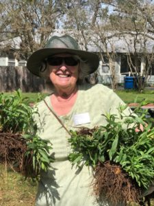 MG Brenda bringing some plants to divide and plant