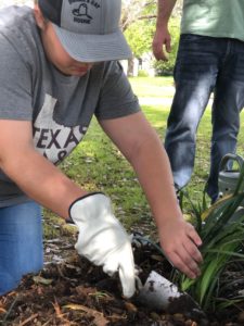 volunteer planting