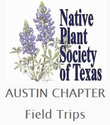 NPSOT Austin Chapter Field Trips