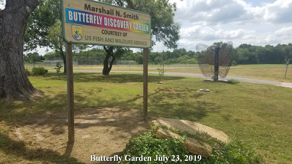Butterfly-Garden-July 24, 2019