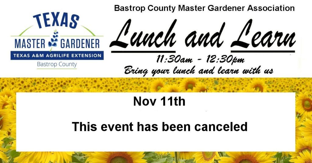 Lunch & Learn - Nov canceled