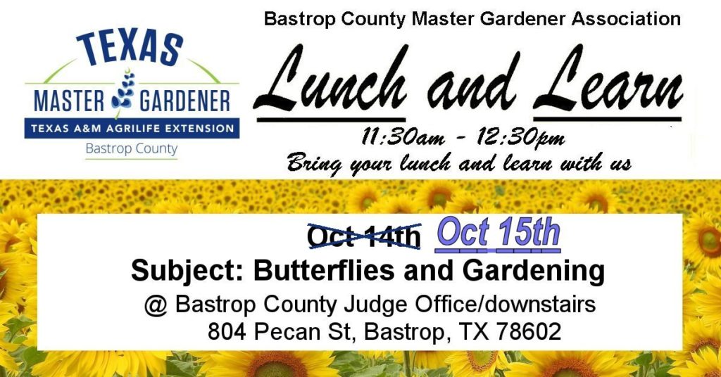 Lunch & Learn Butterflies Event