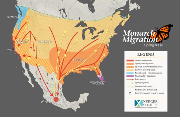 mapp showing monarch migration