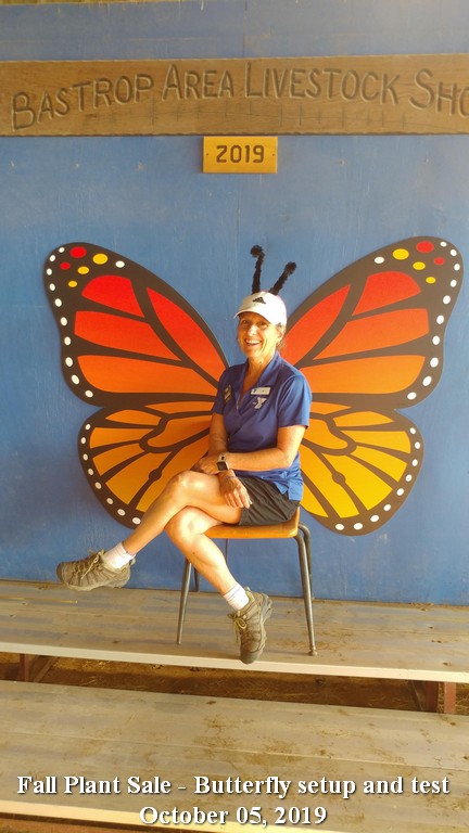 Butterfly Jo
