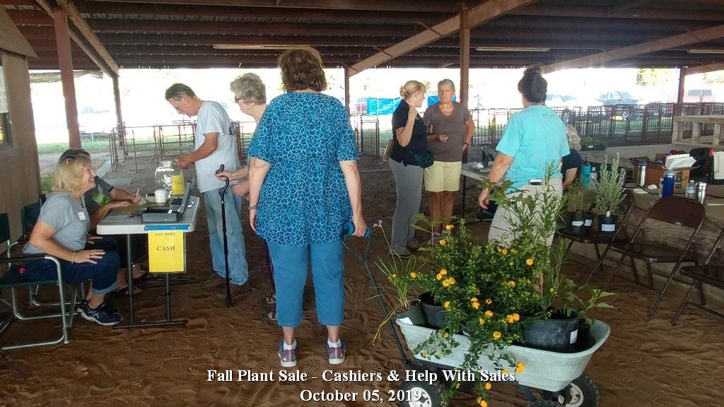 Plant-Sale-Day-Help-with-sale