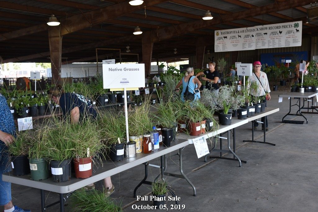 October 5 2019 Plant Sale Day