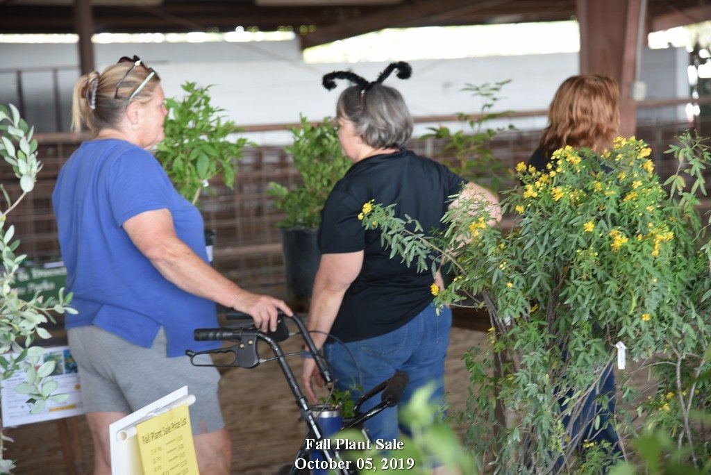 October 5 2019 Plant Sale Day