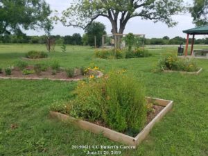 Cedar Creek Butterfly Garden - June 11, 2019
