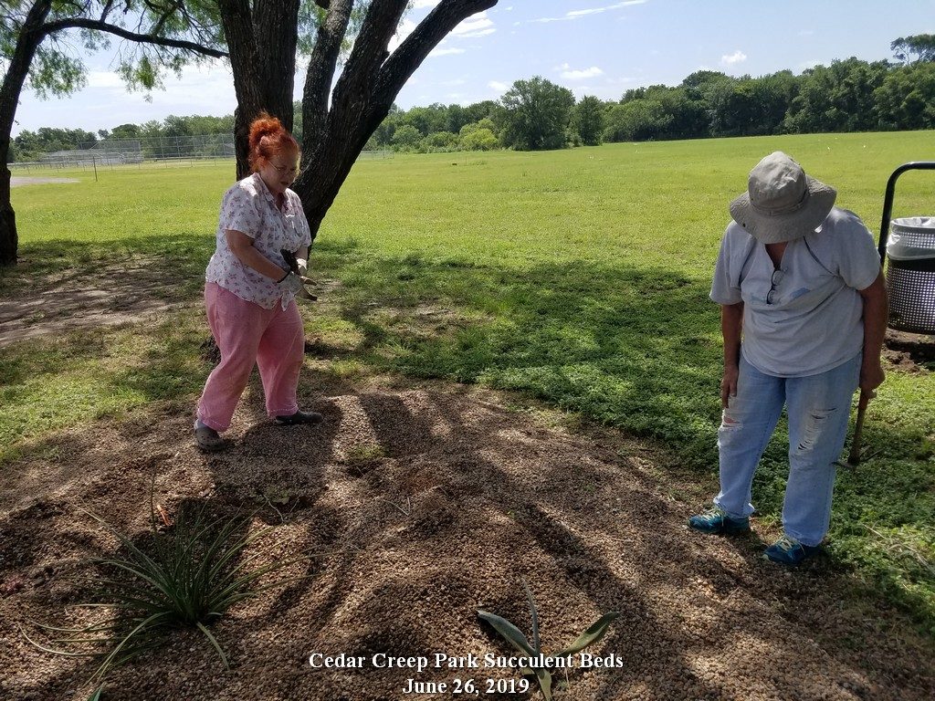 Cedar Creek Park Succulent Garden on June 25, 2019