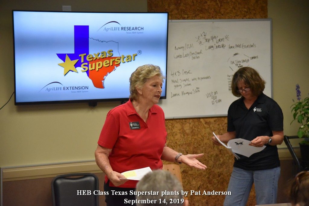 HEB class-Texas Superstars - Pat A. Sept 14, 2019
