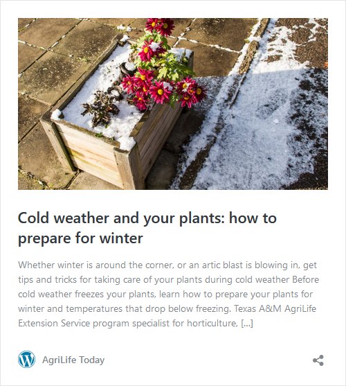 Cold Weather Article in Agrilife Today