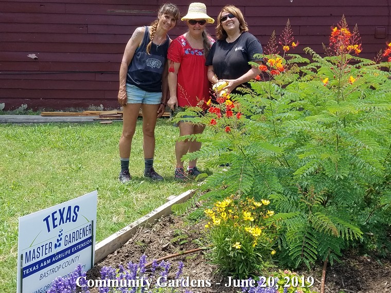 Robin, Terri and Marcia at Community Gardens