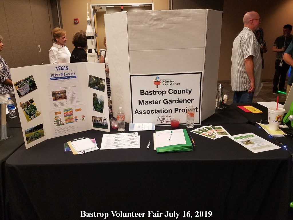 BCMGA table at the Bastrop Volunteer Fair July 16, 2019