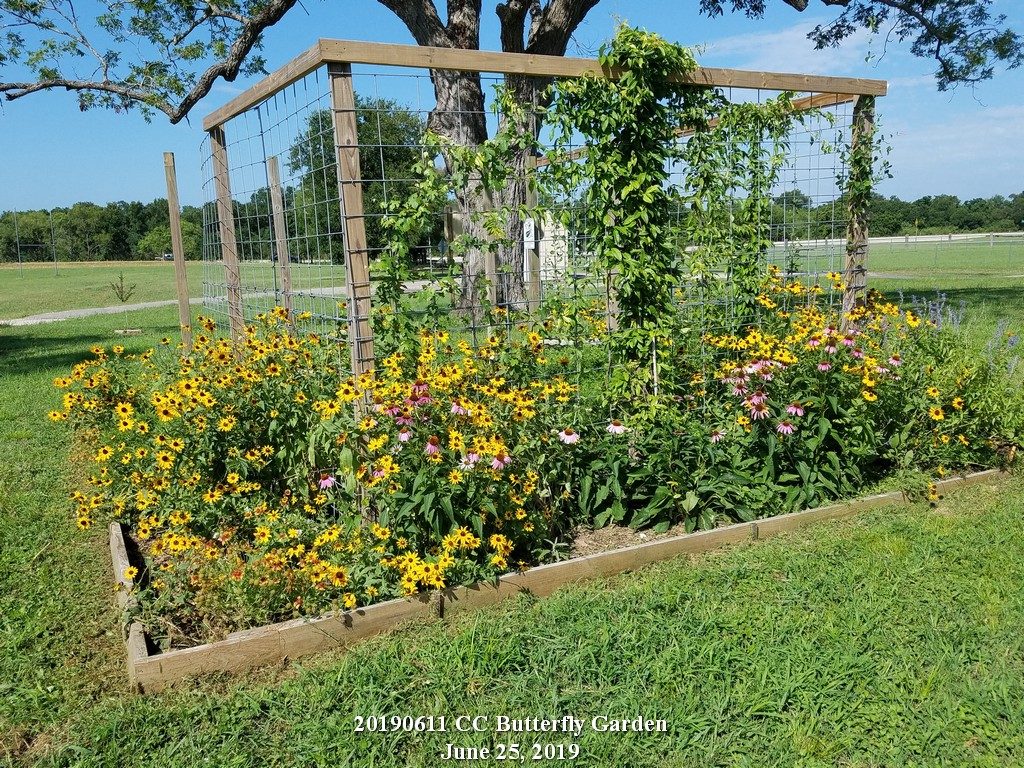 Cedar Creek Butterfly Garden on June 25, 2019