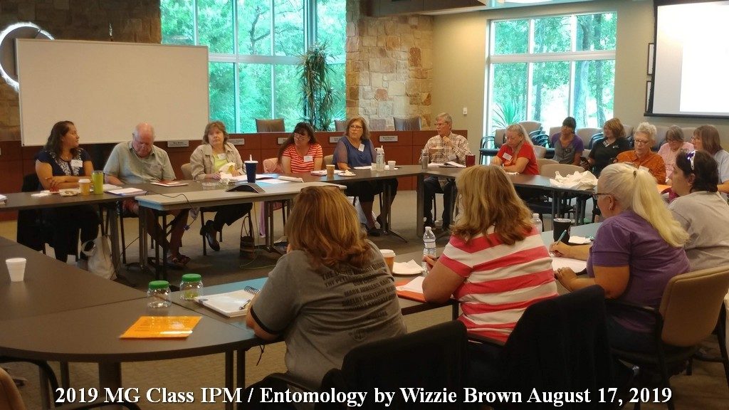 IPM - Entomology MG Class-Aug 17, 2019 - Wizzie Brown