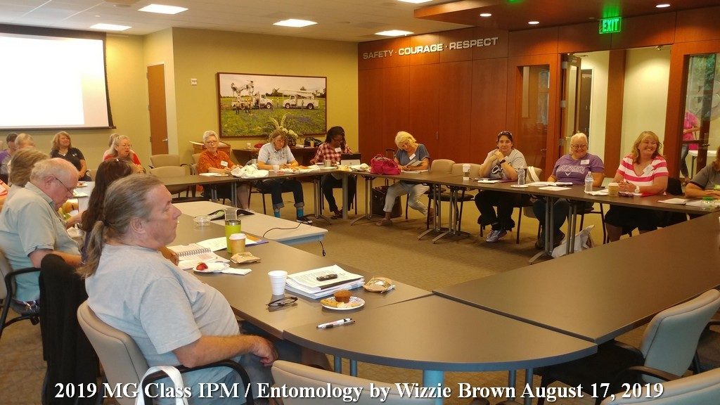 IPM - Entomology MG Class-Aug 17, 2019 - Wizzie Brown