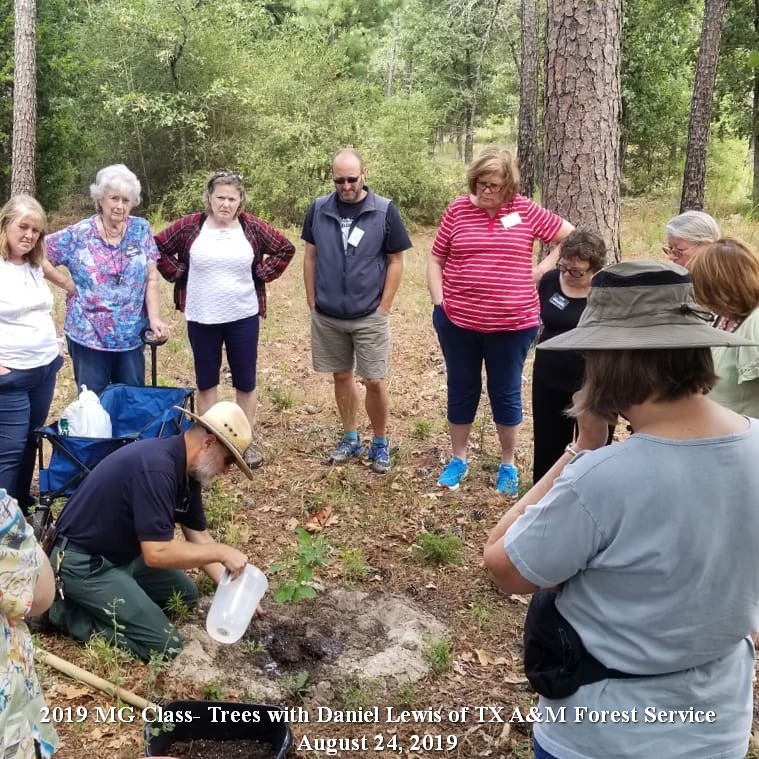 Aug 24, 2019 MG Class - Trees with Daniel Lewis