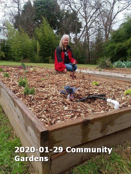 Terri Bigsby working at the Community Gardens
