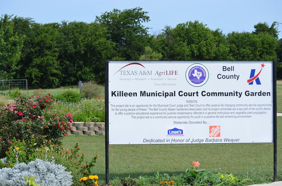 Killeen Municipal Court Garden Bell County Master Gardener Killeen Municipal Court Garden Bell County Master Gardener