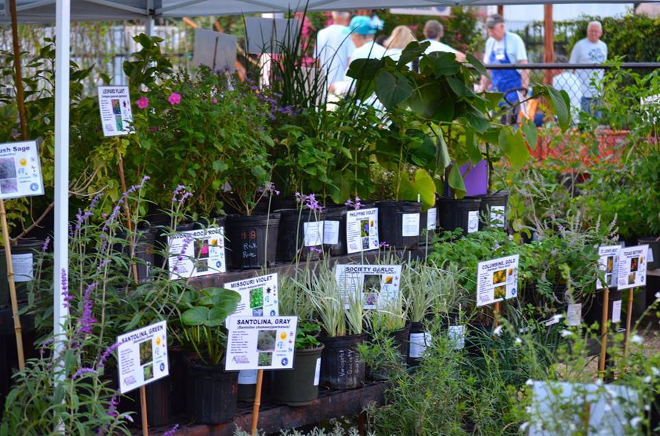 Bell County Master Gardener Texas A&amp;M AgriLife Extension