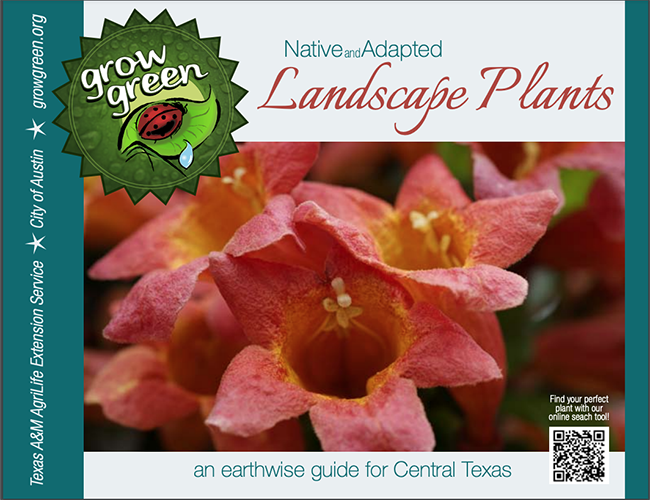 Monthly Gardening Checklist, Leaf Landscape Supply North Austin Tx