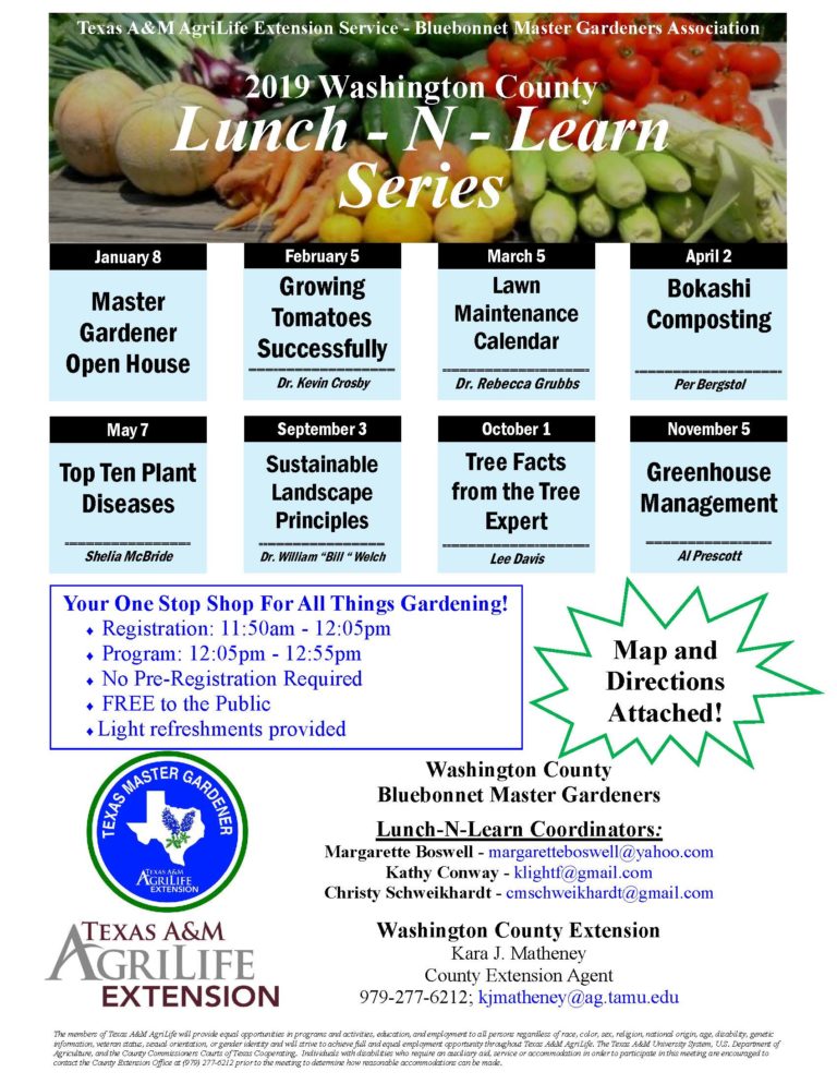 Lunch & Learn Series