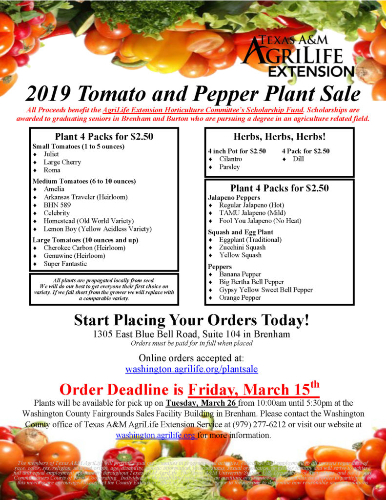 Flier for Tomato & Plant Sale