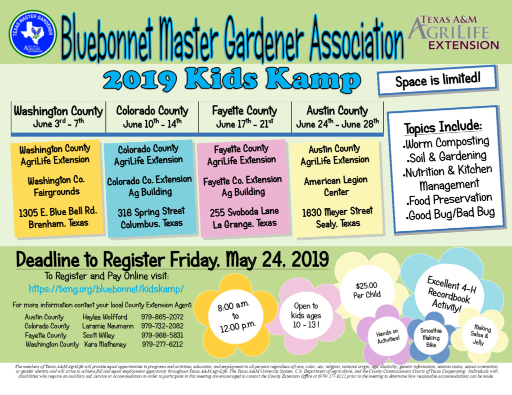 2019 BMGA Kids Kamp Flyer