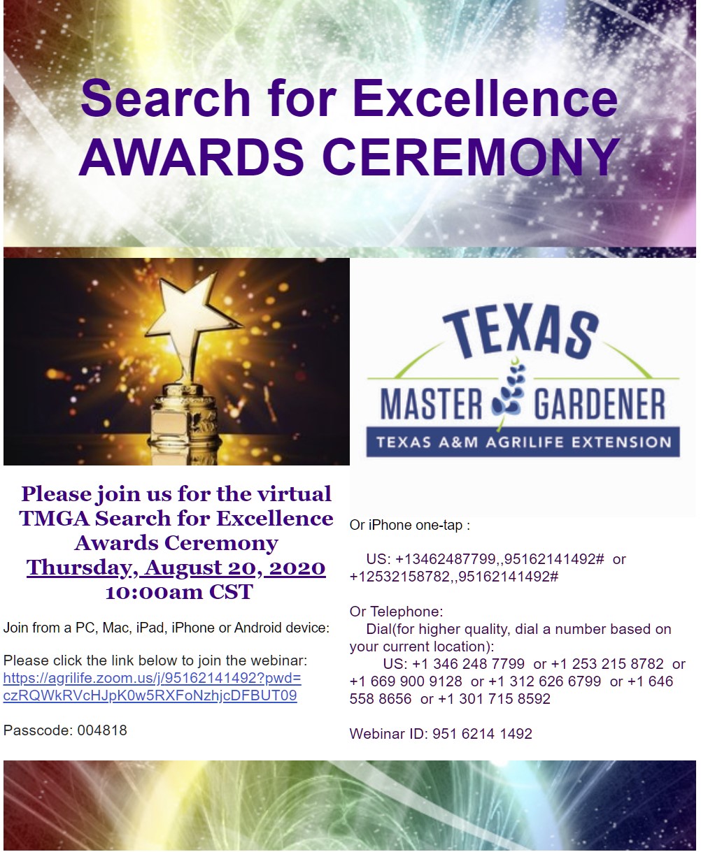 Search for Excellence AWARDS CEREMONY