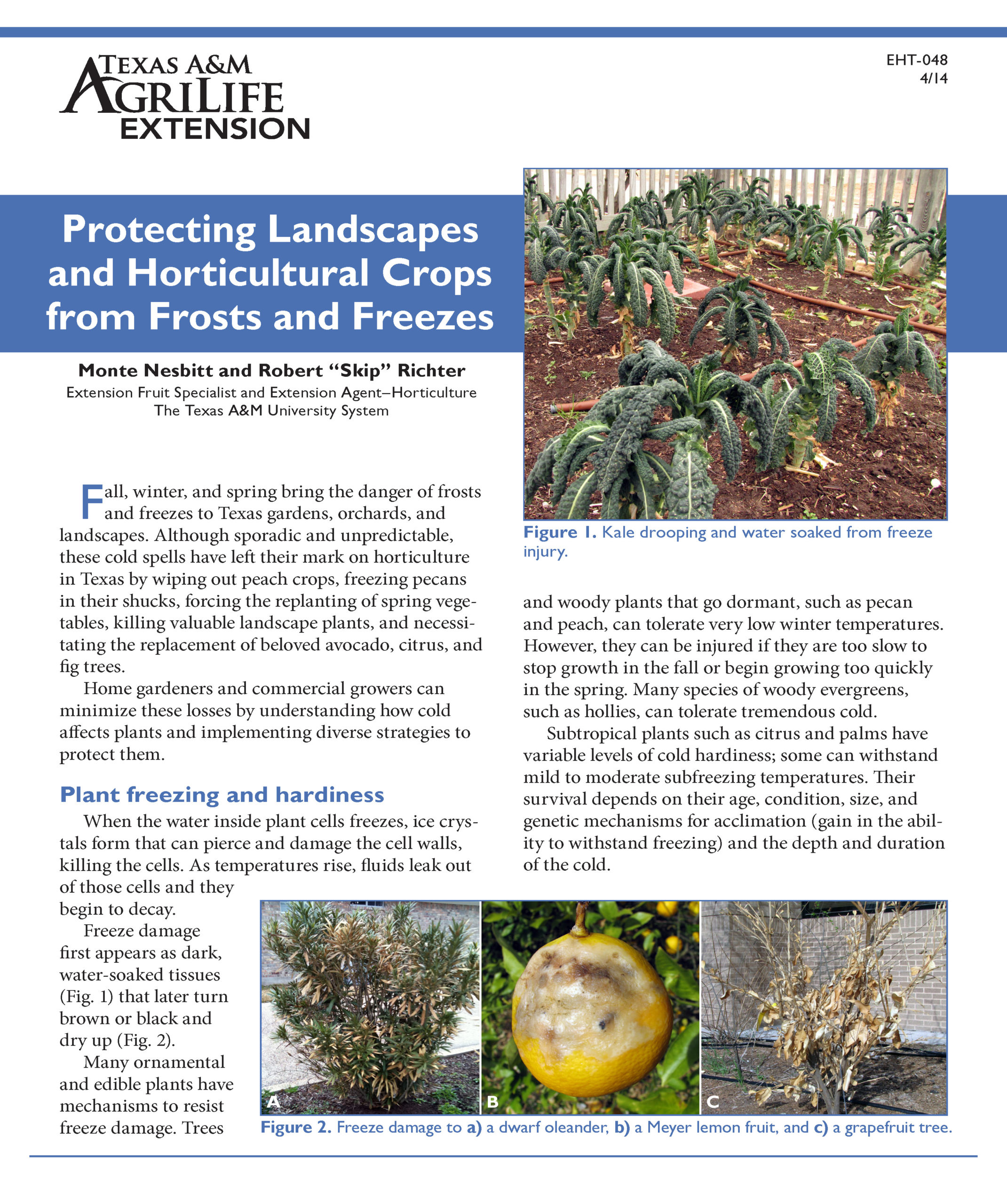 protecting horticultural crops from freezes