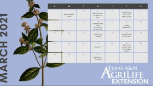 Facebook Live Calendar