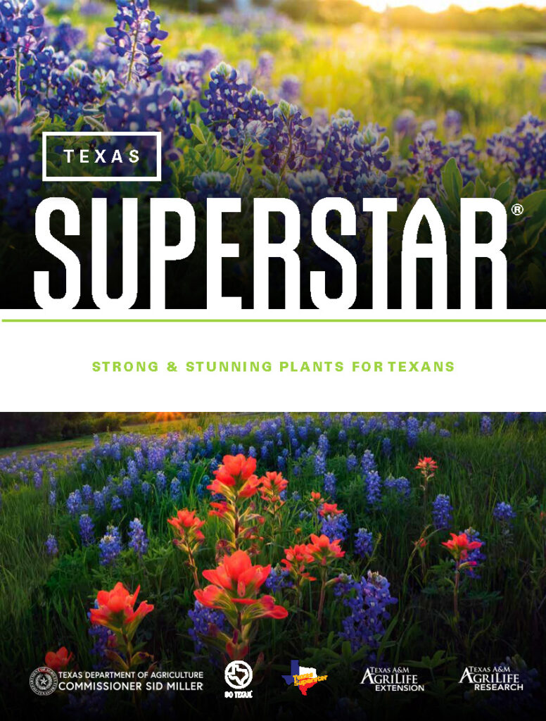 Texas Superstar: Strong & Stunning Plants for Texans