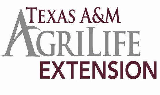 Texas A&M AgriLife Exention Logo