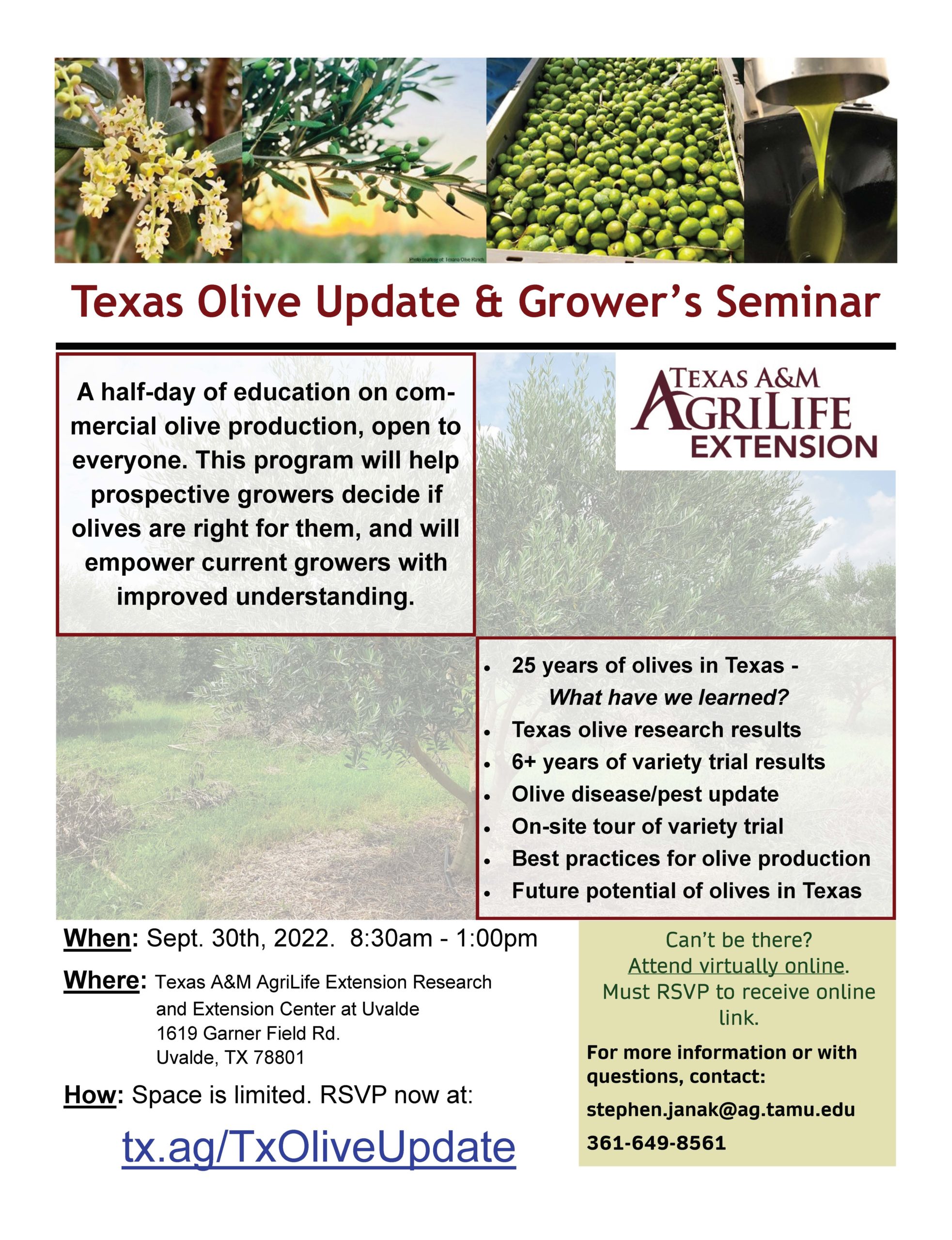 Olive Seminar Flyer