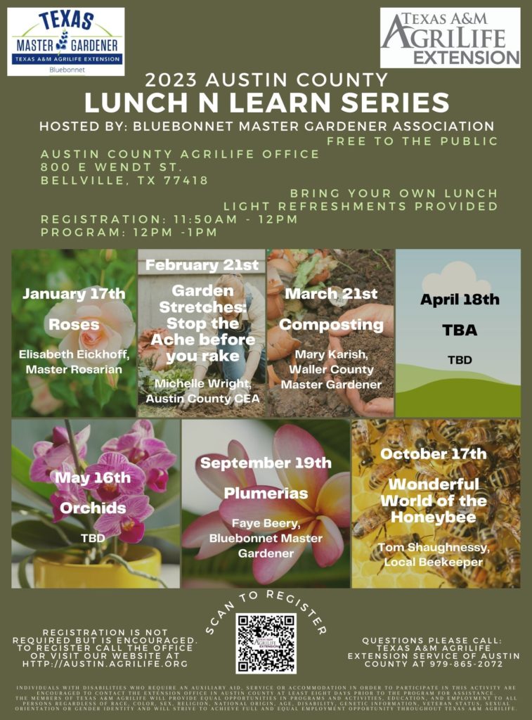 Flyer for Austin County Lunch & Learn Series 2023