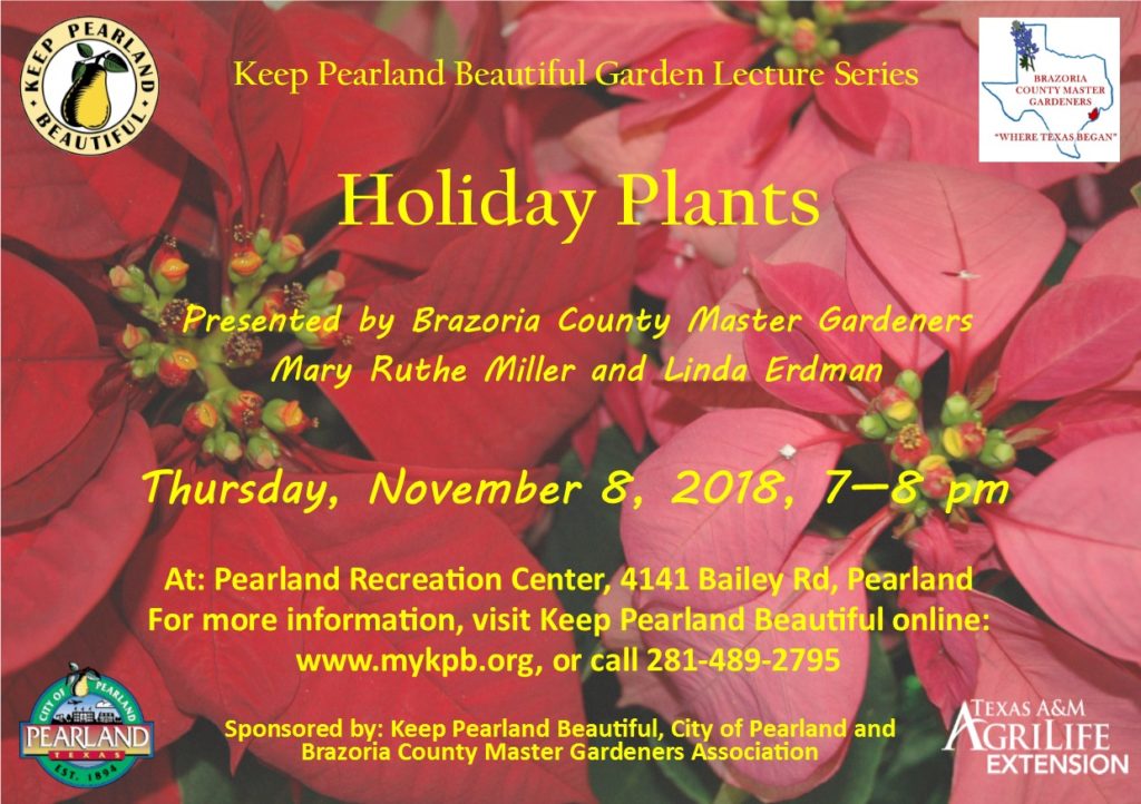 KPB Lecture Holiday Plants