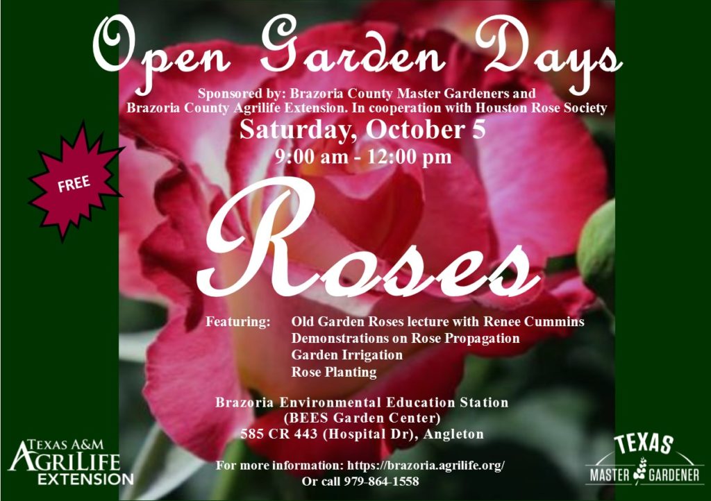 Open Garden Roses image