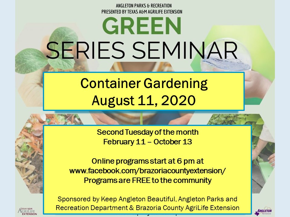 Green Gardening: Container Gardens