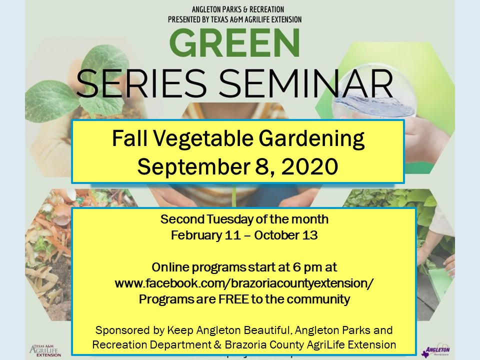 Green Gardening: Fall Veggies