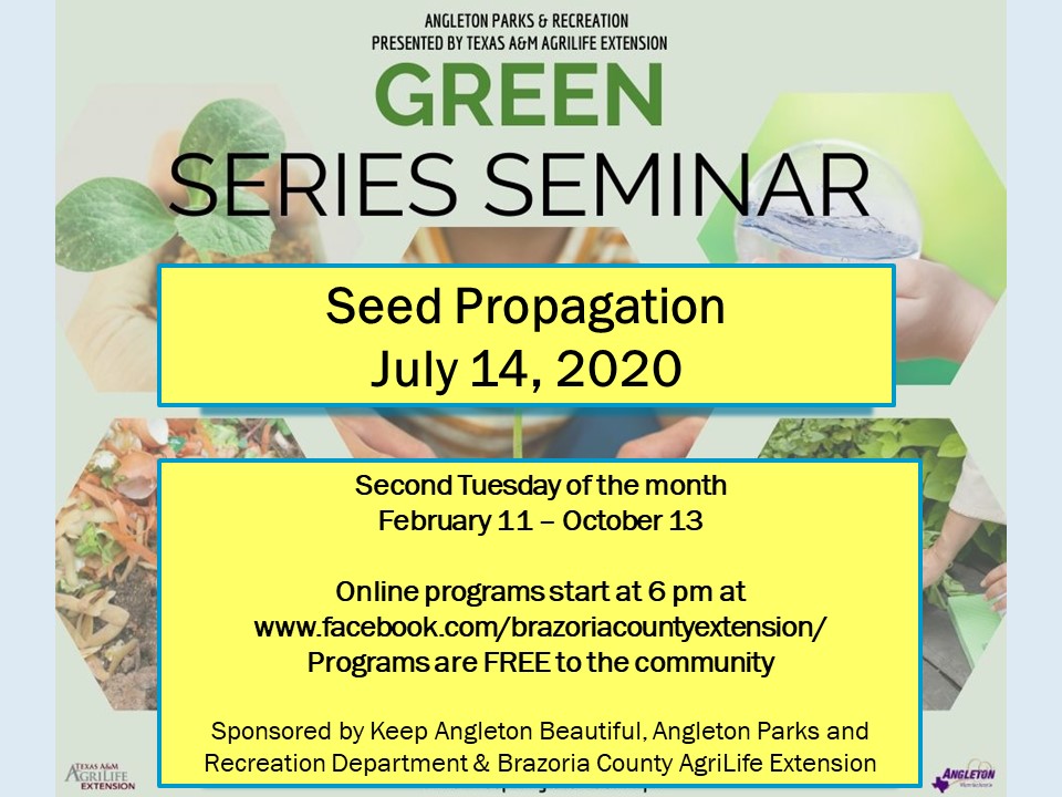 Green Garden Series: Seed Propagation