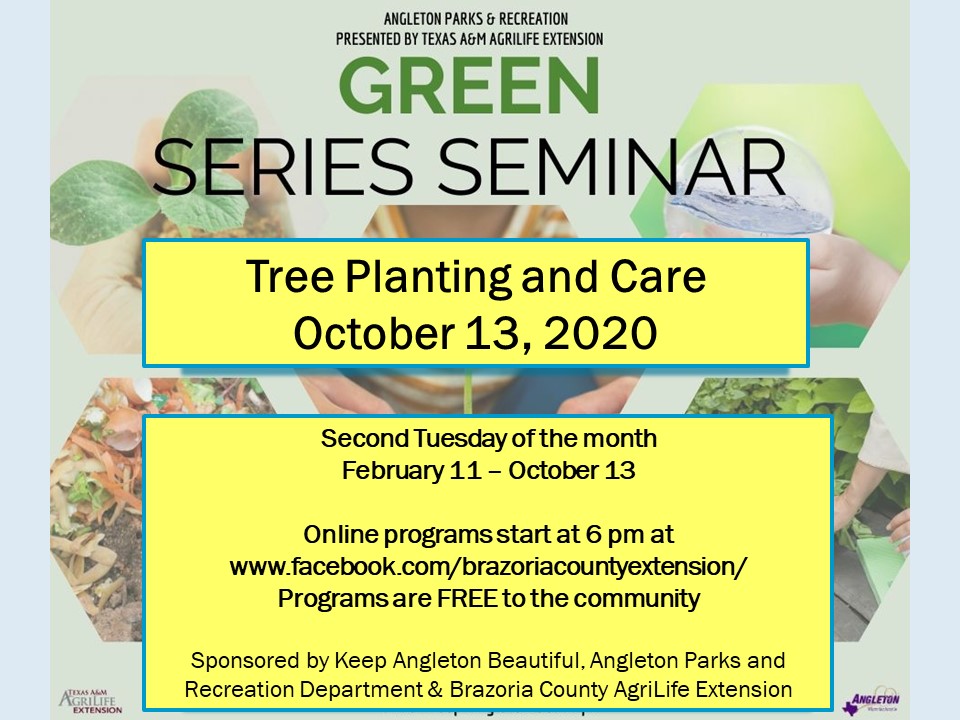 Green Gardening: Tree Planting